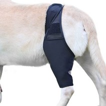 강아지 슬개골 보호대 관절 쓸개골 무릎 다리 애완 동물 패드 dog support brace for right left leg hock joint wrap 통기성 부상 복구, XL