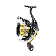 시마노 Shimano 349584, One Size