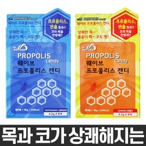 프로폴리스캔디 페퍼민트레몬 5통, 레몬맛 5개(4.5g X 40개입)