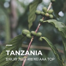 [생두] 탄자니아 기고마 세렝게티 AAA TOP 5kg