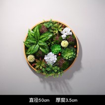 행인플렌트 행잉플랜트 조화 다육이잎꽂이 다육용월 벽 아트 인테리어, 색상 분류: 직경 O-50cm 타입