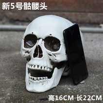 [특가행사] 해골 모형 인체 방탈출카페 방탈출 공포 공포테마 소품 용품, 신품 5호 180 노멀 헤드