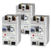 배선용차단기 JBE-102P 2P 60A 75A 100A 산업용 배차단기 진흥전기, 1개