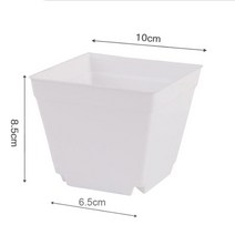 플랜트박스 베란다 실내 옥상 주차장 텃밭 화분 미니 화분 7cm 10cm 작은 사이즈 플라스틱 식물 재배, 05 white 10cm_02 5pcs