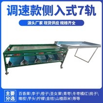 복숭아 사과 귤 과일 자동 크기 선별기 농산물 분류기, 사이드엔트리 속도조절모델(7트랙)