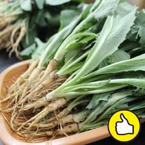 남해 노지재배 밥맛돋우는 햇 생고들빼기 1.3kg, 1개