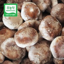 두메골농원 영양 무농약 버섯 착한 송이 500g 상품, 1개