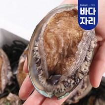 [산지직송] 완도 활전복 1kg 완도전복 산소포장 참착한전복 10-11미
