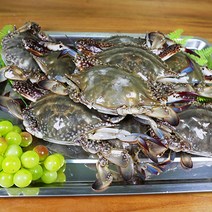 연평푸드에서 선별한 서해안 급냉꽃게 국내산 100%, 급냉 꽃게, 암꽃게, 4kg