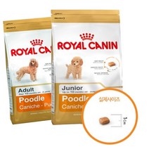 로얄캐닌 독 푸들 어덜트 1.5kg 강아지 사료 묘 강아지 용품 사료 밥 애완, 쿠팡2 핫초코 본상품선택