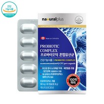 락토바실러스플란타럼 락토바실러스 가세리 바이크로바이옴 모유유래 플란타룸 유산균 프로바이오틱스 분말 가루 알약 정 캡슐 식약처 식약청 인증, 2박스(4개월분), 2개
