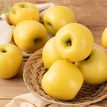 산지직송 시나노골드 황금사과 고당도 꿀사과 경북 청송 안동, 2kg 중소과~중과 (7-9과), 가정용 황금사과