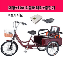 고령자용 세발자전거 전동보조 여객 화물겸용, 대형 10A 리튬배터리)(25-30km 주행