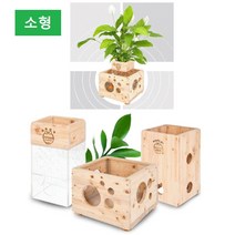 우즈에어 산소발생 가습기 원목어항화분 소형히노끼 가습기 화분 어린이 아기방, 화분+어항+자갈(화분 및 어항용)+식물(스파티필름)
