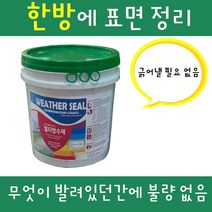 한진 마스터 멀티 프라이머 웨더씰 7kg 만능 수용성, 메가 하이브리드(백색 및 조색) 10L(색상은배송란)