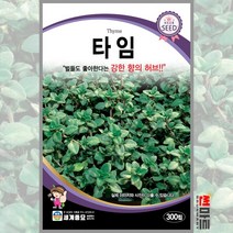 타임 300립 / 여러해살이 허브씨앗 씨앗 화단 정원 꽃밭
