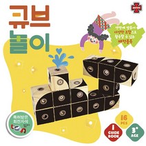 에드토이 큐브놀이 패턴블록 창의력블록