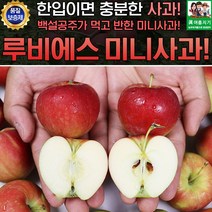 한입 미니사과 루비에스 특상 1kg 개당40-60g