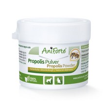 Aniforte 강아지 고양이 프로폴리스 파우더 20g 면역력관리 피부개선
