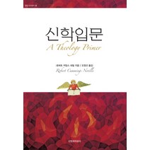신학입문, 신앙과지성사, 로버트 커밍스 네빌(Robert Cummings Neville)