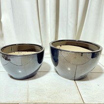 청년농부 모던 블랙유광 낮은동글화분 원형화분 중형화분 소형화분 화이트화분