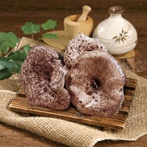 국내산(냉동) 능이버섯500g, 1개
