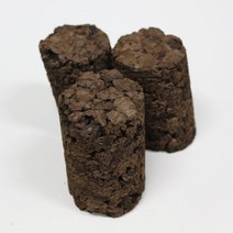 풀레뜨 에코펠렛 3EA 테라보드 테라리움 비바리움 팔루다리움 백스크린