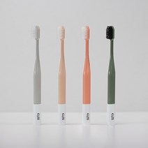 칫솔공장 나혼자선다 스탠드칫솔 이중미세모(1개입), 그린