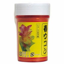 봄 심황 분말 (용기 입) 100g×6개 히카제 차 春ウコン粉 (容器入) 100g×6個 比嘉製茶