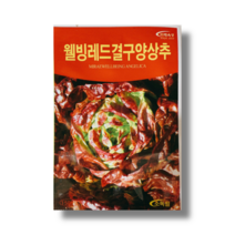 결구양상추 씨앗 1500립 [22년포장]