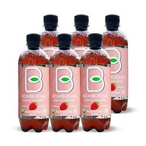 콤부차 드링크 생 프로바이오틱스와 아미노산으로 발효시킨 녹차 항산화 물질이 풍부한 건강, 산딸기, 16fl oz6개들이 팩