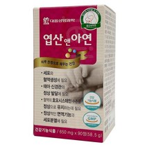 제일케어 대웅생명과학 엽산앤아연 650mg 90정, 단품