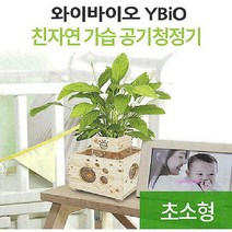 우즈에어화분 히노끼 산소발생 원목 가습기 어항 편백나무rst369, SPRg_화분+자갈+식물(팔손이나무)