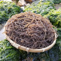 완도총각네 국내산 소금사용 염장 꼬시래기 5kg 2.5kg 생산자직송 2023년 햇 상품, 2.5kg x 3개
