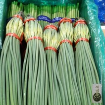 새벽들 중국산 마늘종1단 (800g내외), 1봉, 1단 (800g내외)