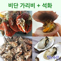 비단 가리비2kg +석화 3kg (구이용 찜용), 1set, 가리비2kg+석화3kg, 0