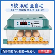 병아리부화기 자동병아리부화기 달걀부화기 계란부화기, 스마트 전자동 부화기 단전 9란
