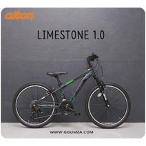 21년 알톤 라임스톤1.0 24인치 자전거, 완전조립(무료배송), 매트블루