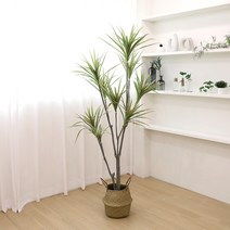 고급 인조나무 조화화분 드라세나 마지나타 180cm, 1개