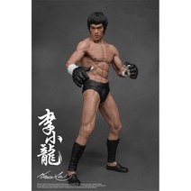 19cm 브리 이소룡 버전 pvc 피규어 컬렉션 완구, with retail package
