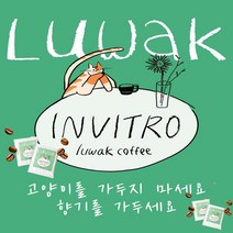 [당일 로스팅 당일 출고] 인비트로 루왁 사향고양이 저카페인 발효커피 (원두 드립백), 드립백
