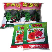 입자송이(2개) 알송이(2개) 유박 모음 230198EA, 알송이(200g) 2개
