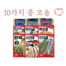 10가지 콩 씨앗 모음집 [23년포장] 강낭콩 작두콩 서리태콩 동부콩 콩종자, 서리태콩 50g