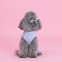 자체제작 강아지옷 랄라 스윗 올인원, 색상:블루|사이즈:S