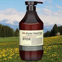 바이오디톡 상한머리 복구 헤어팩 클리닉 트리트먼트 컨디셔너, 1개, 1000ml