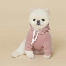 스판 커플룩 강아지 데일리 후드 티셔츠 옷 닥스훈트 웰시코기, SM
