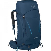 오스프리 Packs 등산백팩 Kestrel 48L Backpack Bonsai Green, S-M Picholine Green