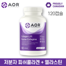 저분자 피쉬 콜라겐 & 엘라스틴 에이오알 콜라겐 리프트 120캡슐 직구