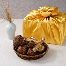 자연산 송이버섯 생송이버섯 선물세트 설 추석 명절 선물용, 1박스, 3품(가정용) 500g