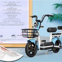 어르신전동차 삼륜 노인 바이크 전동 스쿠터 관부가세포함, K